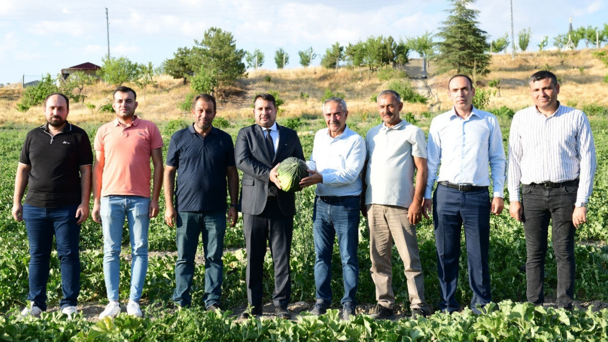 ve mujde verildi kazan kavunu sofralara geri donuyor syXJqIpC