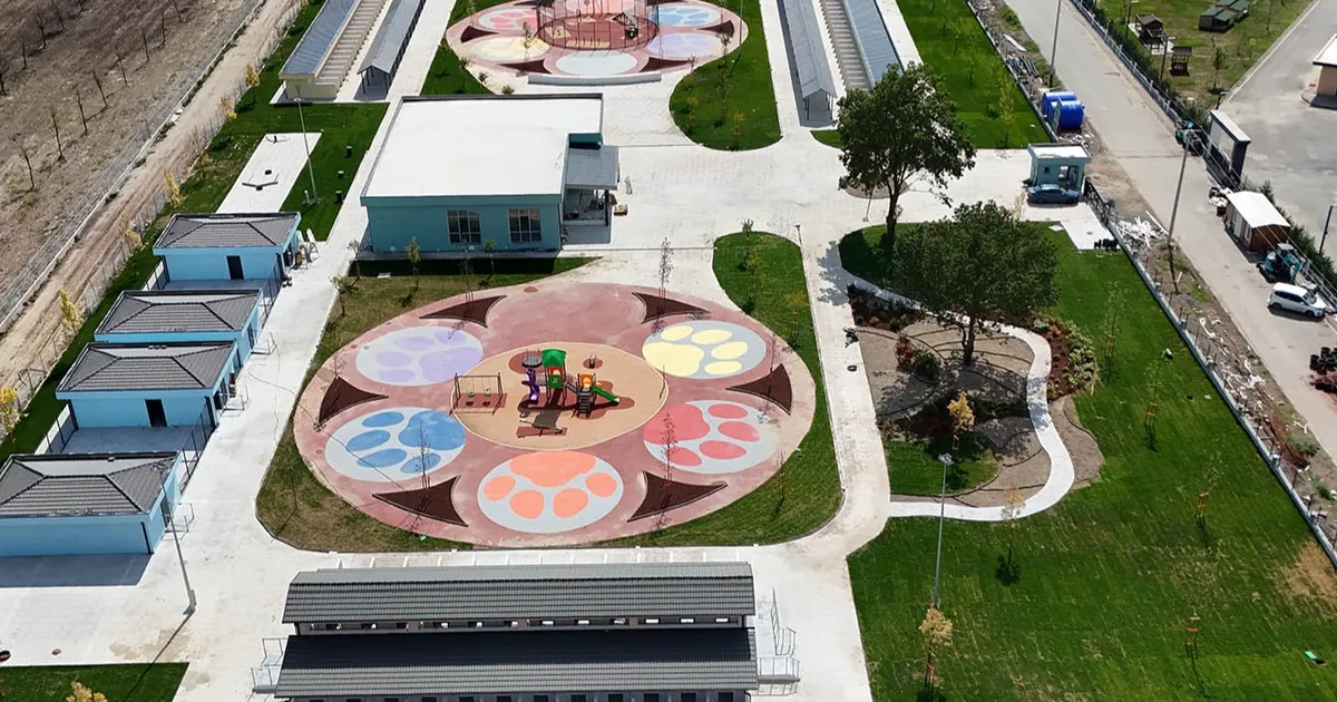 sakaryada sokak hayvanlarina guvenli yuva EpeE3IZm