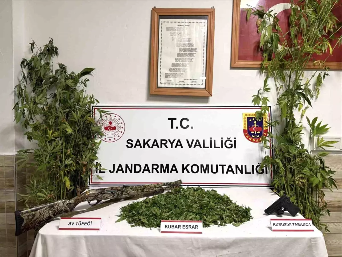 sakaryada yasa disi kenevir hasadi yapan sahis tutuklandi c5lbTLCf