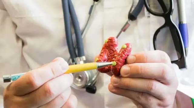 uzmanlardan paratiroid bezi hastaliklari icin duzenli takip uyarisi rYg81OxK