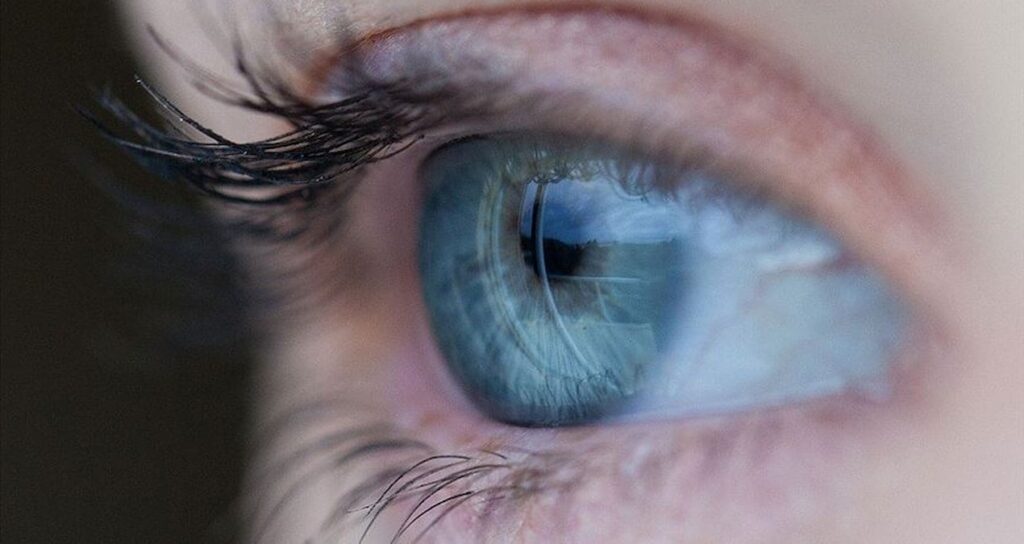 mavi-gozlu-tum-insanlarin-atasi-ayni-arastirmada-turkiye-de-var-EARt1mCU