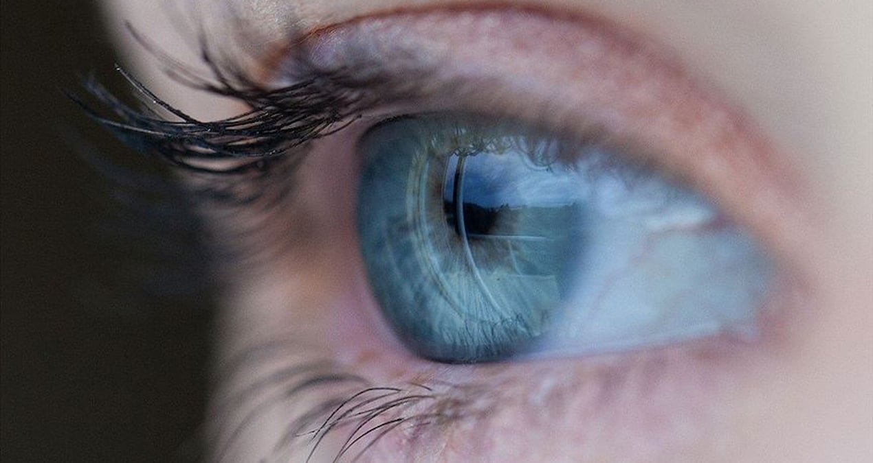 Mavi Gözlerin Ortak Atası: Türkiye’nin Rolü ve Genetik Araştırmalar