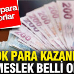 en-cok-para-kazandiran-5-meslek-belli-oldu-paraya-para-demiyorlar-YHuwvpsO