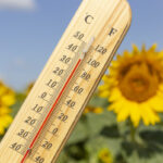 Son dakika meteoroloji hava durumu raporu 19 temmuz 2026 bugun pazar hava nasil 8EULZZv9