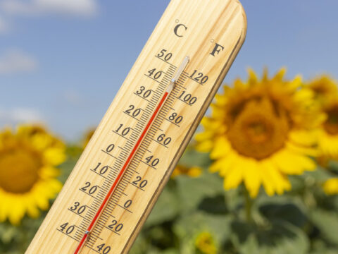 Son dakika meteoroloji hava durumu raporu 19 temmuz 2026 bugun pazar hava nasil 8EULZZv9